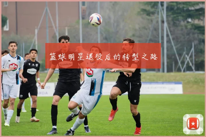 篮球明星退役后的转型之路