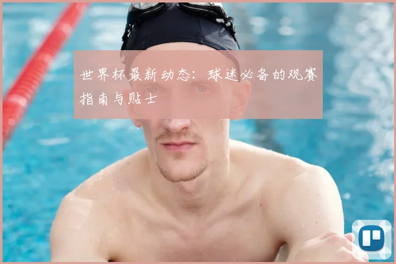 世界杯最新动态：球迷必备的观赛指南与贴士