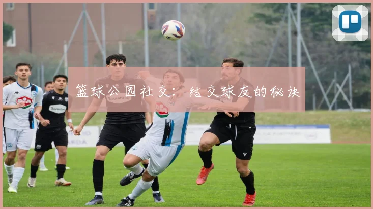 篮球公园社交：结交球友的秘诀